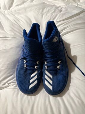 adidas Men's Blue Athletic Sneakers with White Stripes